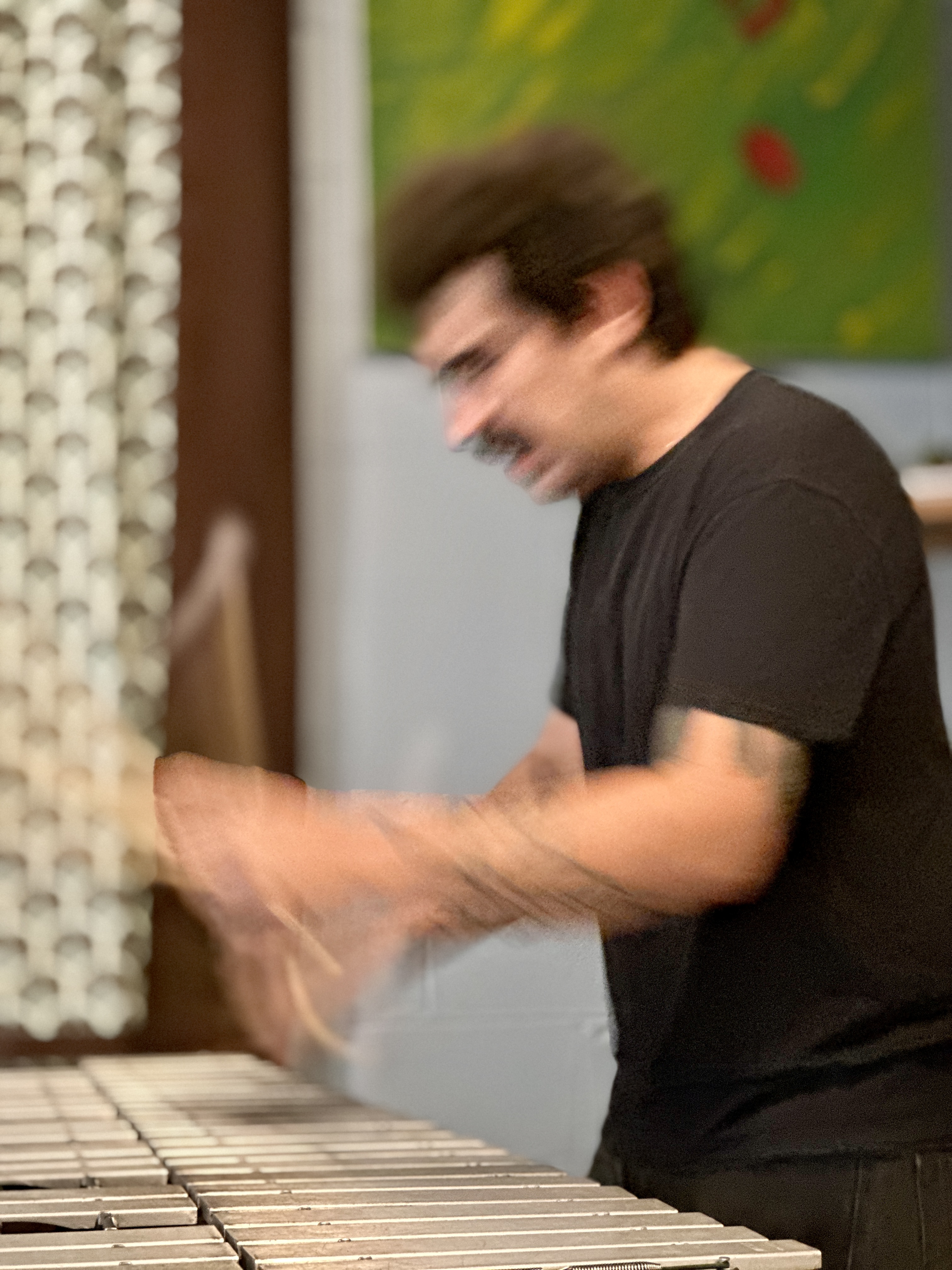 BarkCulture2025-08-12SugarMapleMilwaukeeWI (3).JPG